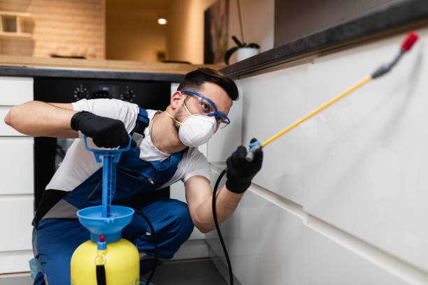 Best Local Pest Control Services  in Crossville, TN