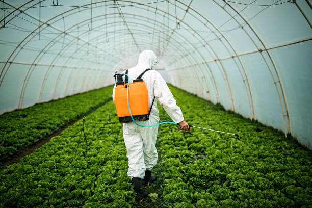 Reliable Crossville, TN Pest Control Solutions