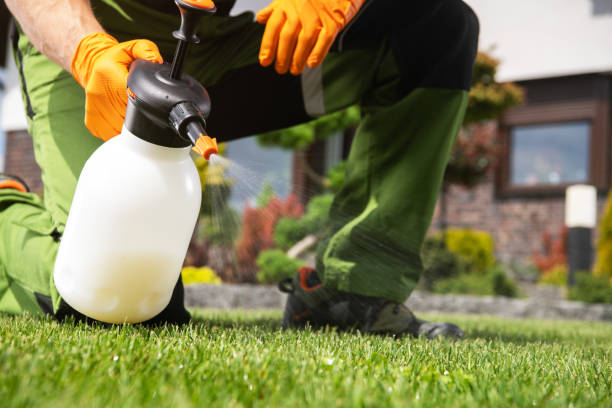 Best Bird Control  in Crossville, TN