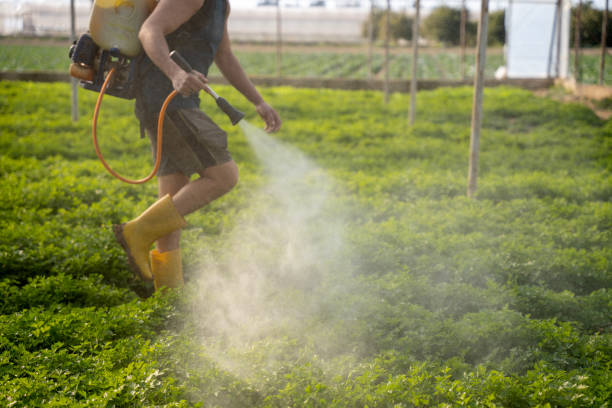 Best Commercial Pest Control Services  in Crossville, TN