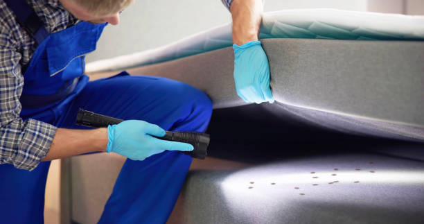 Best Residential Pest Control  in Crossville, TN