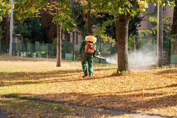 Best Wasp Removal Services  in Crossville, TN