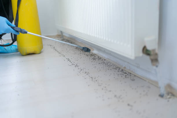 Best Pest Inspection Near Me  in Crossville, TN